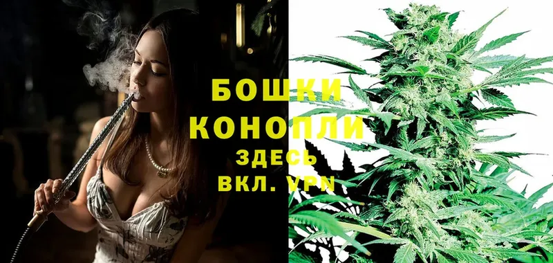 где можно купить наркотик  Отрадная  Конопля Ganja 